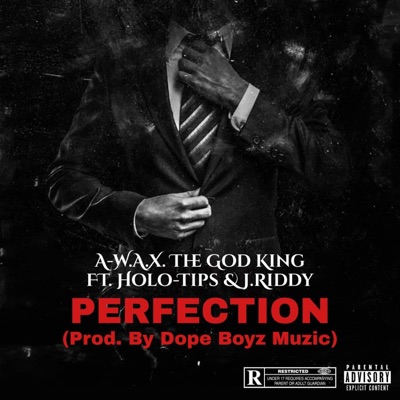 Perfection (feat. Holo-Tips & J. Riddy) - Single