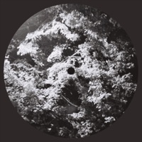 Olive Ave. - Single - Paul Quzz