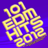 101 EDM Hits 2012 (Best of Electronic Dance Music, Hard House, Hard Dance, Hard Trance, Goa, Psy, Tech Trance, Rave Anthems) artwork