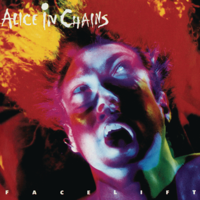Man in the Box - Alice In Chains Cover Art