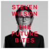 Steven Wilson - THE FUTURE BITES  artwork