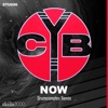 Now (Drumcomplex Remix) cover art