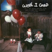 Wish I Could (feat. JRDN, Maestro Fresh Wes, JD Era, Bizz Loc, Turk, Roney & Jelleestone) artwork