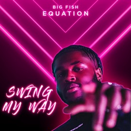 Swing My Way Equation Billionz