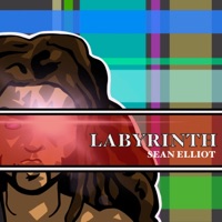 Labyrinth - Single - Sean Elliot