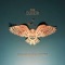 Young Sun - The Deer lyrics