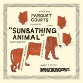 Parquet Courts - Instant Disassembly