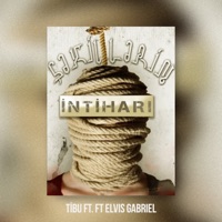 Şəkillərin Intiharı (feat. Elvis Gabriel) - Single - Tibu