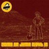 Come on Jump Right In - Single