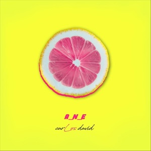 A.N.E