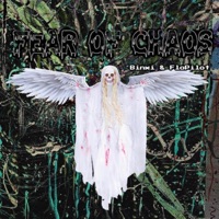 Fear of Chaos - Single - Binxi