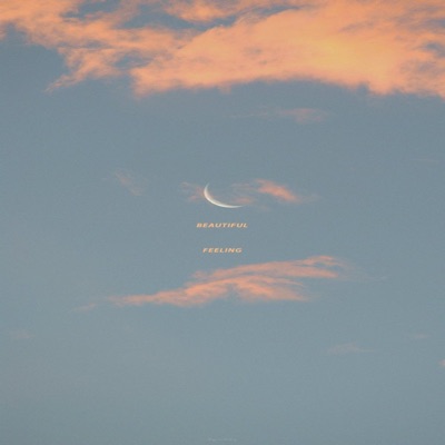 Beutiful Feeling (Instrumental Version) - Single