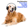 Piano Music for Dogs: Calming Classical Music - Dog Relaxation