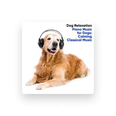 Listen to Dog Relaxation, watch music videos, read bio, see tour dates & more!