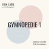 Gymnopédie 1 (Arr. E. Desimpelaere) - Ataneres Ensemble & Erik Desimpelaere