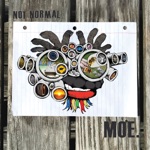 moe. - New Hope For the New Year