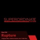 Rupture Single