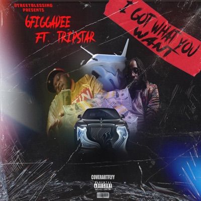 I Got What You Want (feat. Trip Star) - Single
