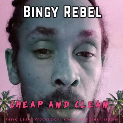 Cheap and Clean - Single