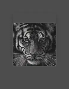 Hör dir Solo1face an, schau dir Musikvideos an, lies die Biografie, finde Tourdaten und mehr!