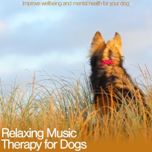 Relaxing Music Therapy for Dogs: Improve Wellbeing and Mental Health for Your Dog