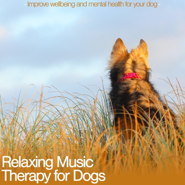 Relaxing Music Therapy for Dogs: Improve Wellbeing and Mental Health for Your Dog