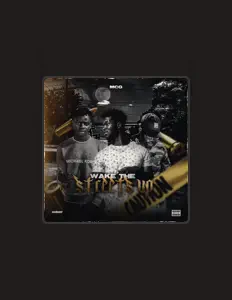 收听 MCG、观看音乐视频、阅读小传、查看巡演日期等 ！