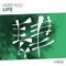 Life - Amir Rad lyrics