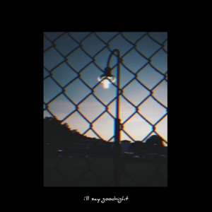 I'll Say Goodnight - Single