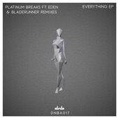 Everything (feat. Eden) artwork