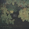 Fall - EP