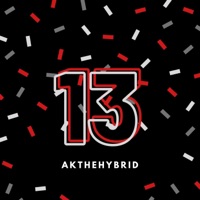 13 - Single - Akthehybrid