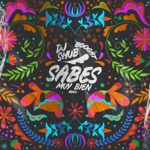 Sabes Muy Bien (DJ Shub Remix) - Single