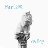 Harlem - Swervin'