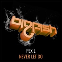 Never Let Go - Single - Pex L