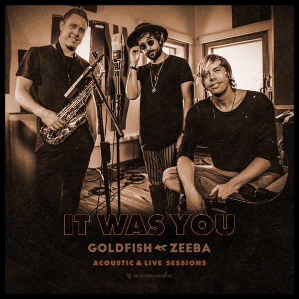 It Was You (With Zeeba) [Acoustic & Live Sessions] - Single