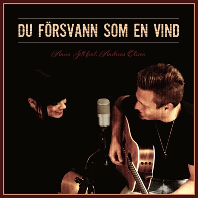 Du försvann som en vind (feat. Andreas Olsson) - Single