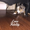 Love Fidelity - Love Fidelity