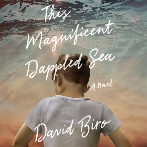 This Magnificent Dappled Sea: A Novel (Unabridged) cover