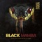 Black Mamba (feat. Du Efex & Tico QDP) - luizpreto lyrics