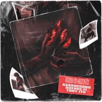 Fuego al corazón (feat. Duende Fl & Tony JTG) - Single - Askonegang