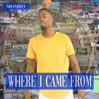 Where I Came From - Single - Mombo