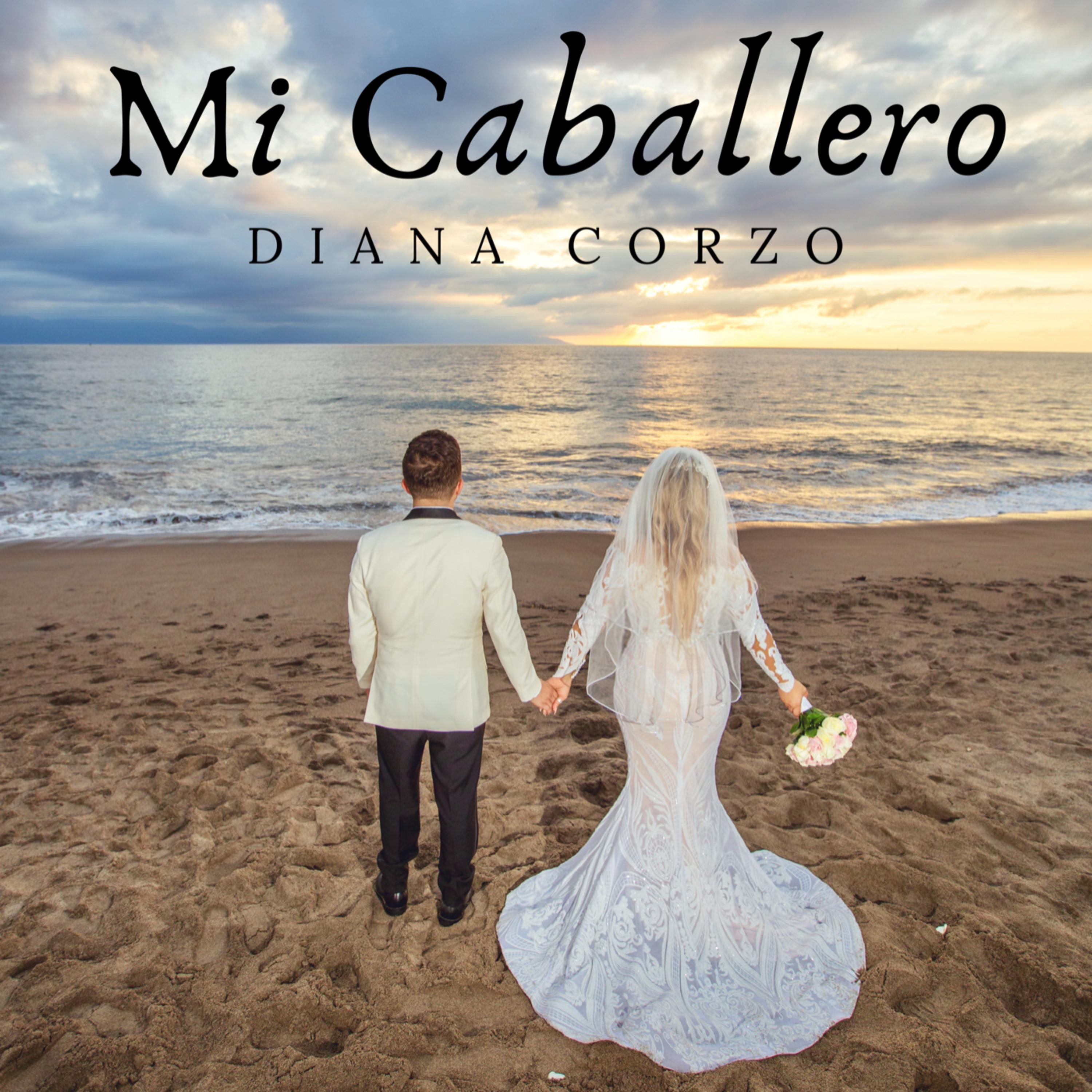 Mi Caballero - Single