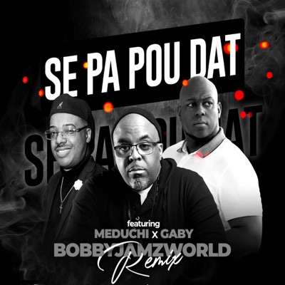 Se Pa Pou Dat (Remix) [feat. Meduchi & Gaby] - Single