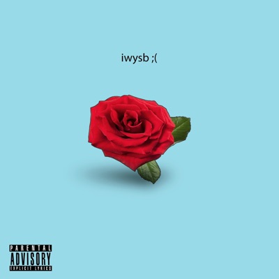 Iwysb (feat. BT) - Single