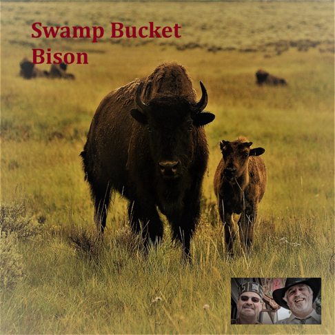 Swamp Bucket - Apple Music