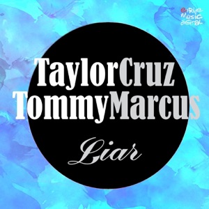 Liar, Vol. 2 (Remixes) - Single