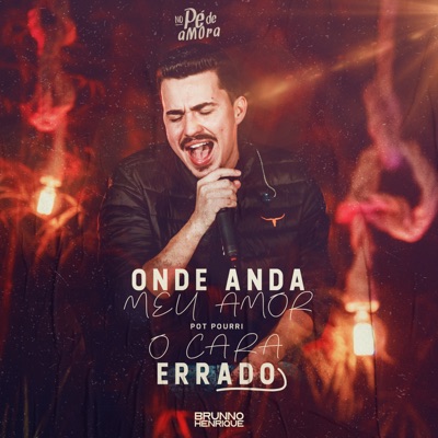 Pot-Pourri: Onde Anda Meu Amor / O Cara Errado (Ao Vivo) - Single