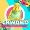 Entierrame el Chimuelo - CRAC MC, Pilar Velasquez & DJ Cosmo lyrics