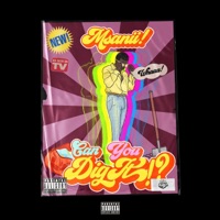 Can You Dig It? - EP - Msanii